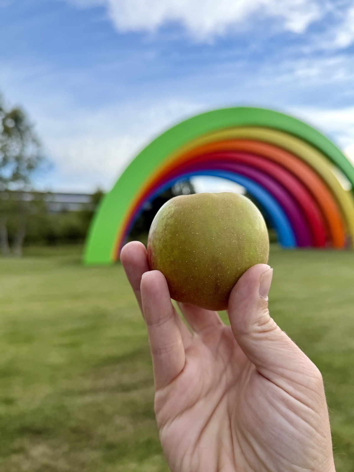 If fruit falls, it's fair game